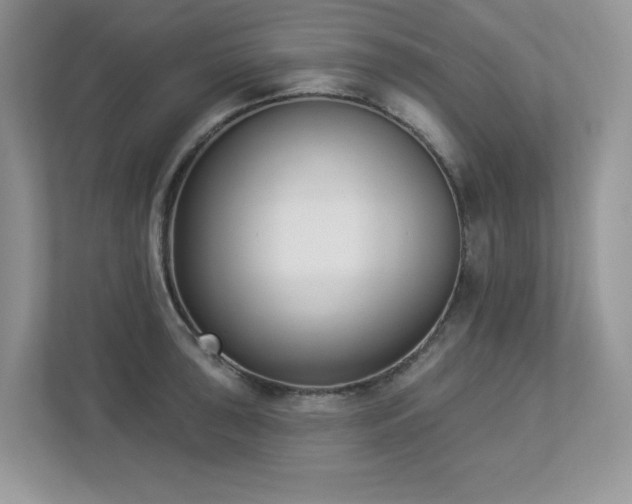X0000112861043200908211317