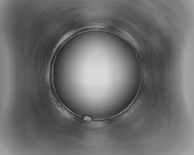 X0000112861044200908211317