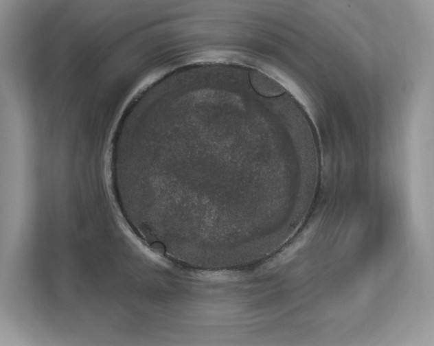 X0000112861045200908211317