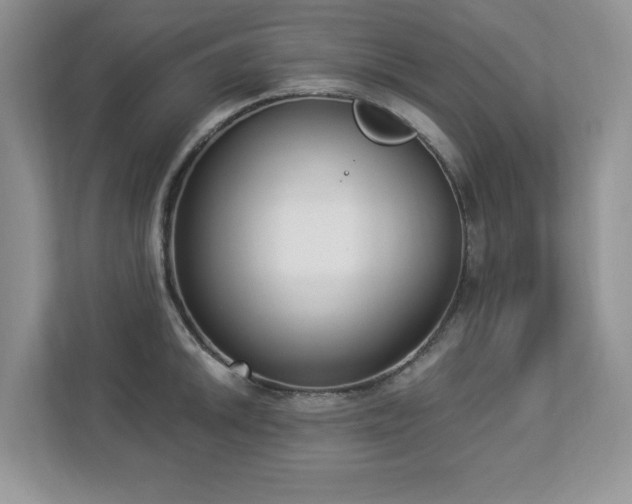 X0000112861046200908211317
