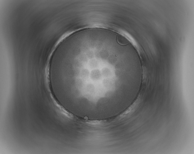 X0000112861048200908211317