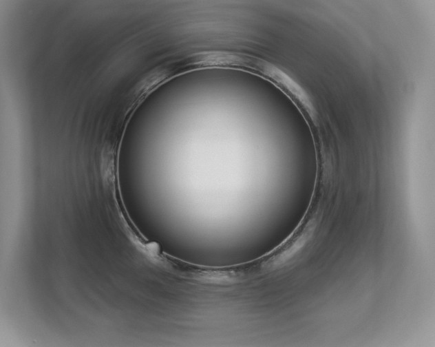 X0000112861049200908211317
