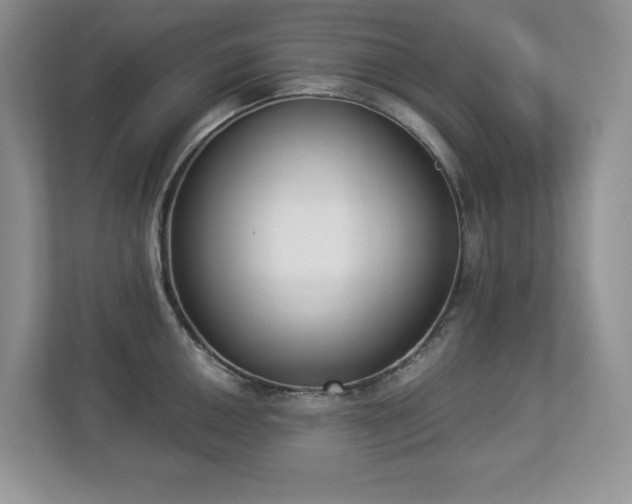 X0000112861050200908211317
