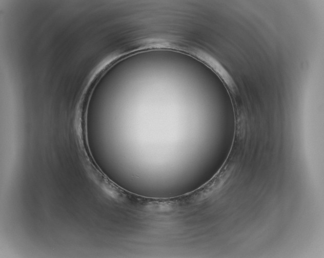 X0000112861051200908211317