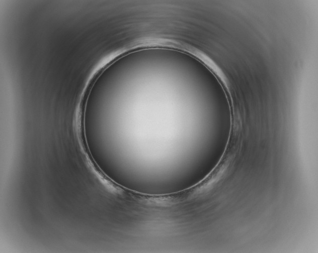 X0000112861053200908211317