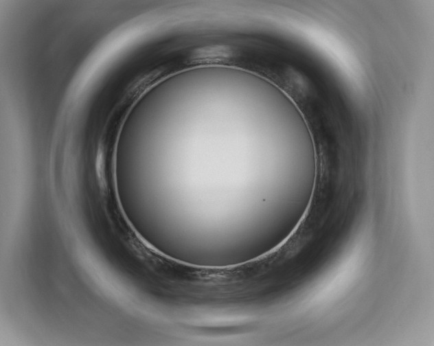 X0000112861054200908211317