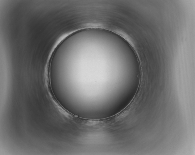 X0000112861056200908211317
