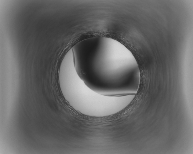 X0000112861057200908211316