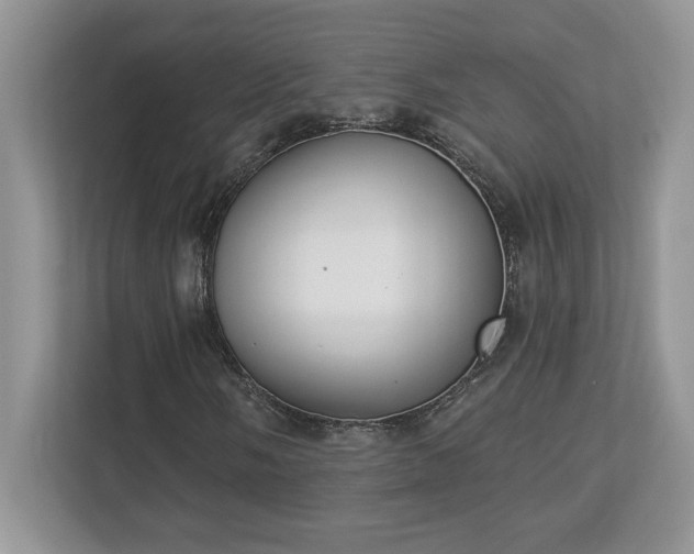 X0000112861058200908211316