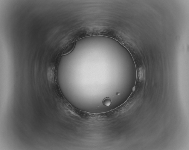 X0000112861059200908211316