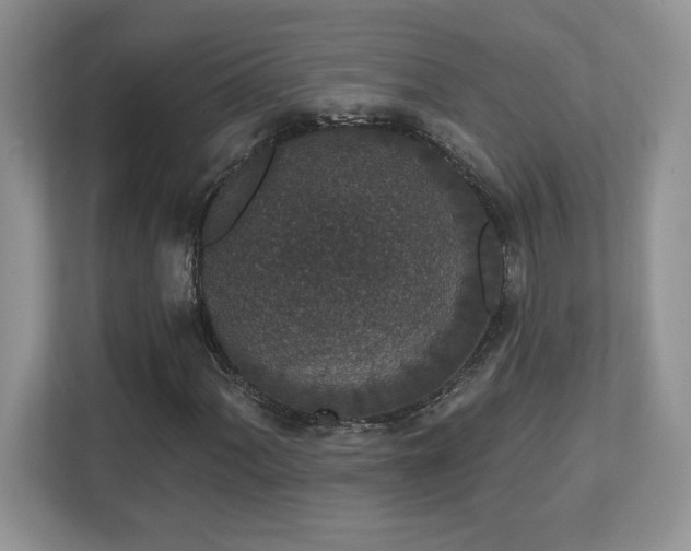 X0000112861060200908211316