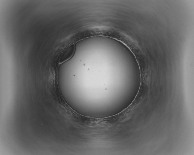 X0000112861061200908211316