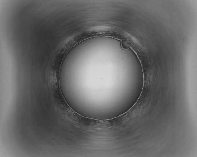 X0000112861062200908211316