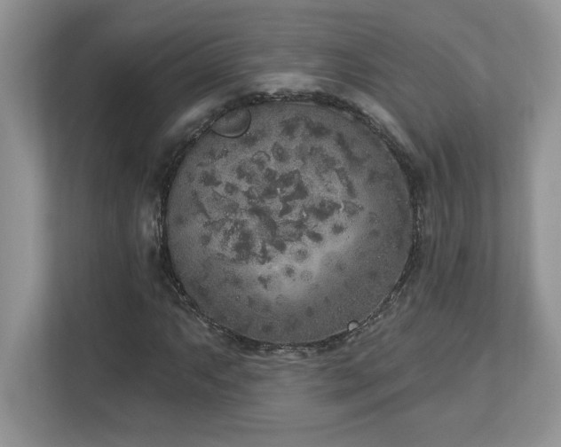 X0000112861063200908211316