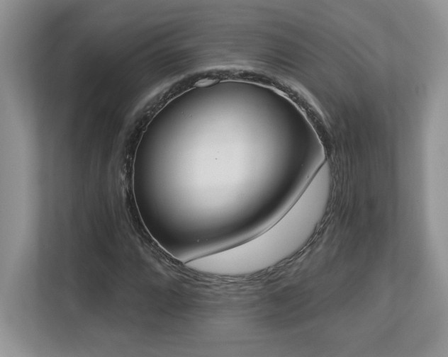 X0000112861064200908211316