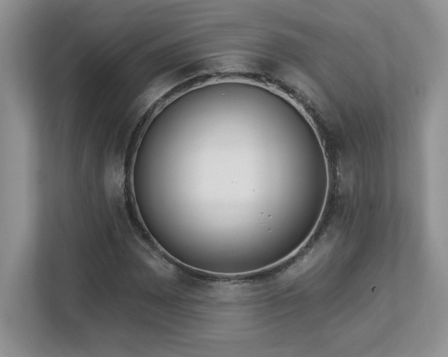 X0000112861065200908211316