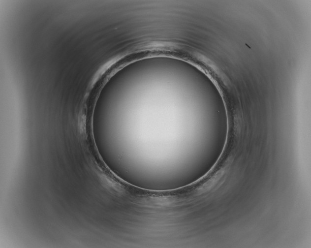 X0000112861066200908211316