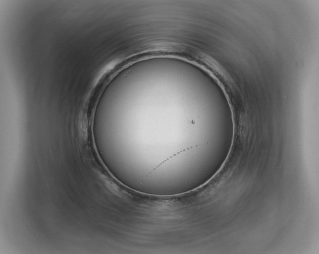 X0000112861067200908211316