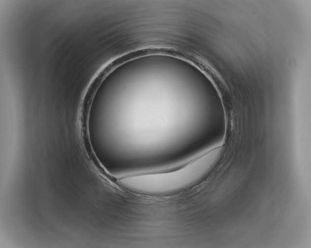 X0000112861068200908211316