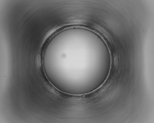 X0000112861069200908211316