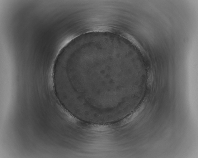 X0000112861071200908211316