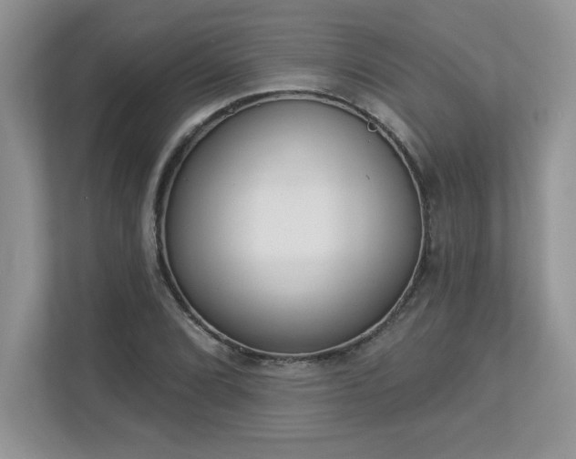 X0000112861072200908211316