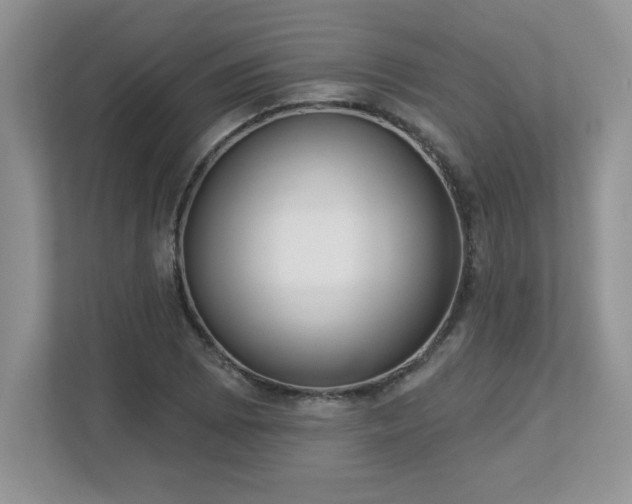 X0000112861073200908211316
