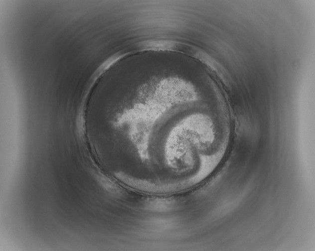 X0000112861074200908211316