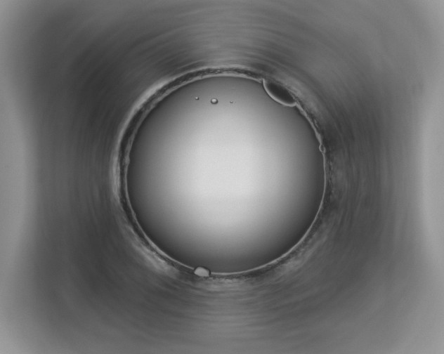 X0000112861076200908211316