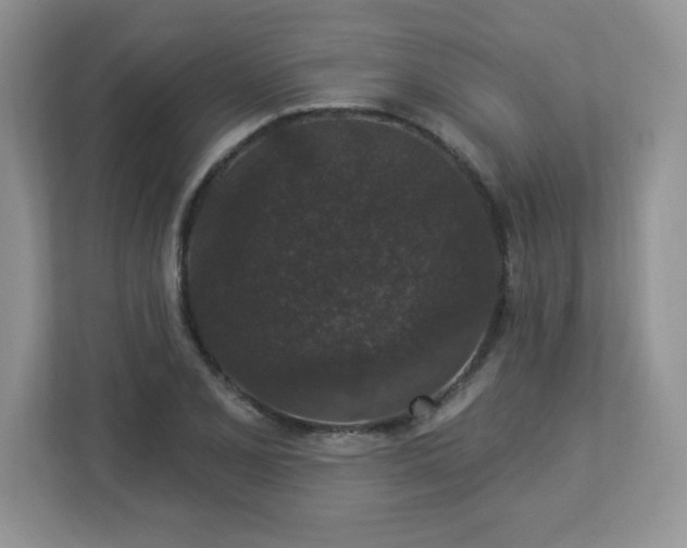 X0000112861077200908211316