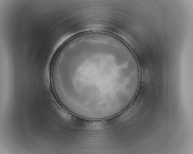X0000112861078200908211316