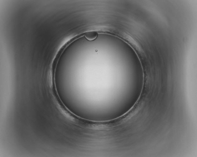 X0000112861079200908211316