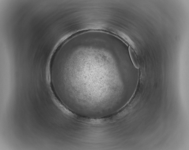 X0000112861080200908211316