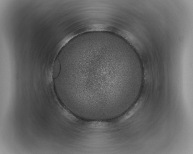 X0000112861081200908211316