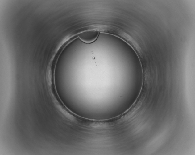 X0000112861083200908211316