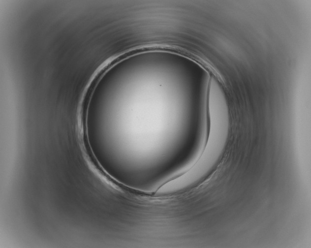 X0000112861084200908211316