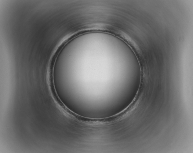 X0000112861085200908211316