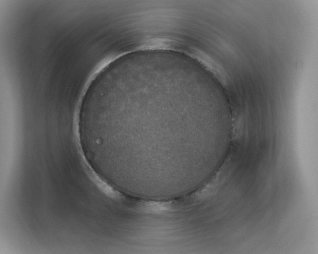 X0000112861086200908211316