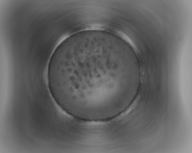 X0000112861087200908211316