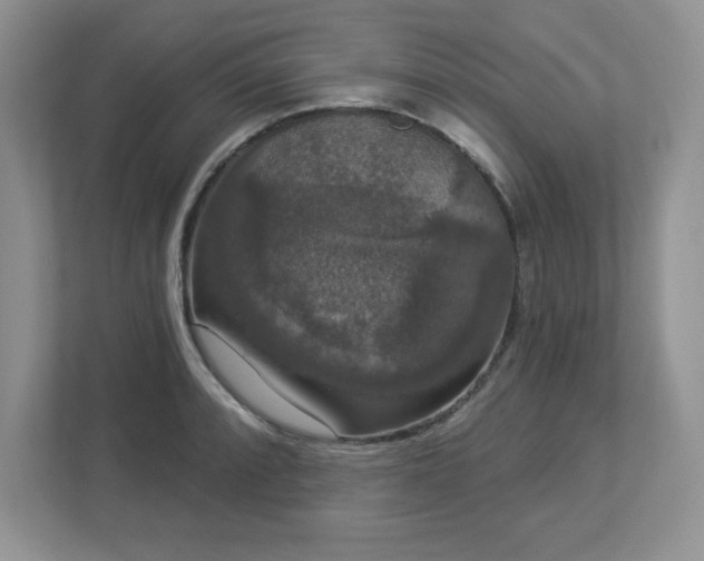 X0000112861088200908211316