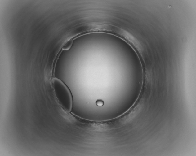 X0000112861089200908211316