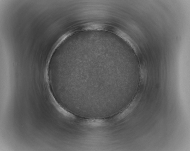 X0000112861090200908211316