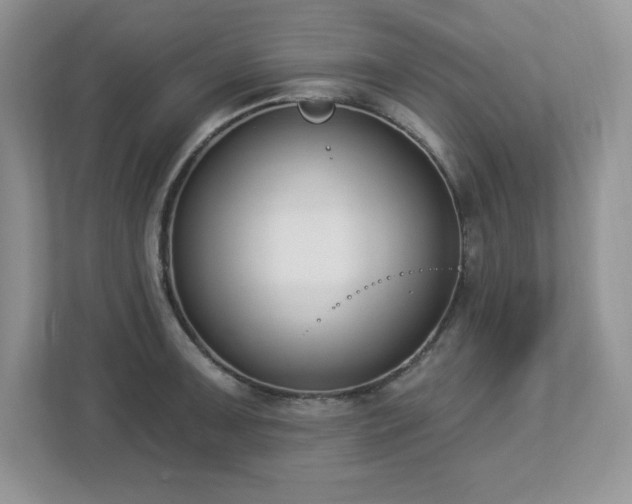 X0000112861091200908211316