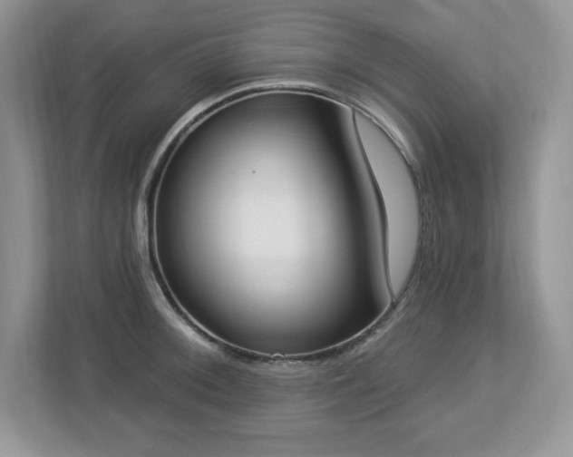X0000112861092200908211316