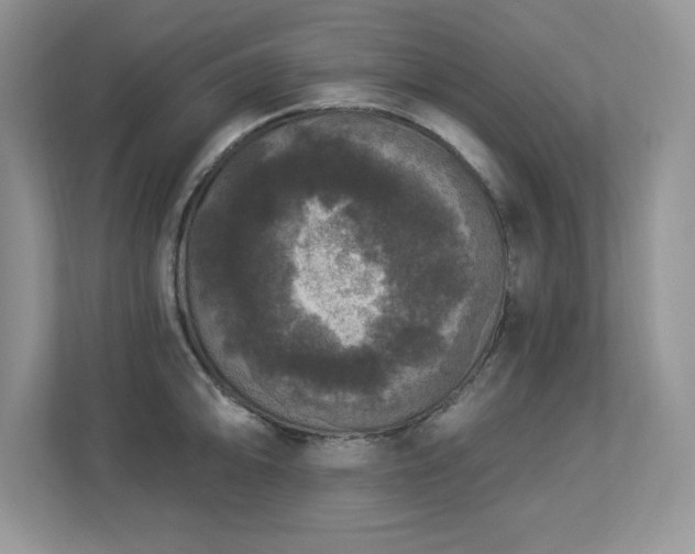 X0000112861094200908211316