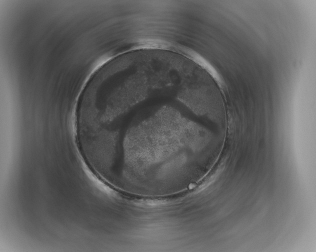 X0000112861095200908211316