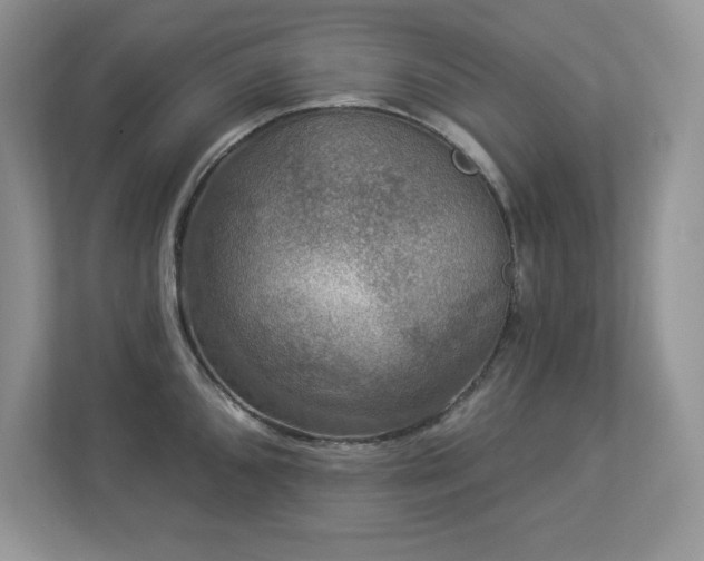 X0000112861096200908211316