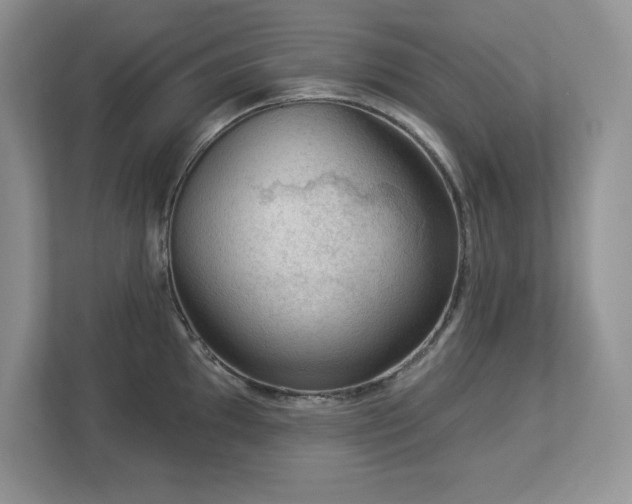 X0000112861097200908211316