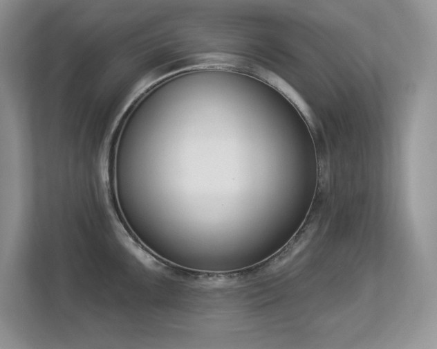 X0000112861099200908211316