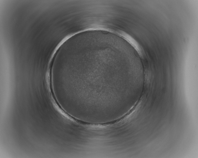 X0000112861100200908211316